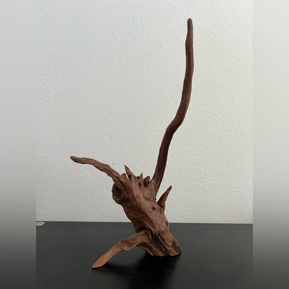 Natural Driftwood Sculpture